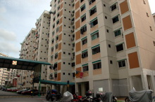 Blk 216 Petir Road (Bukit Panjang), HDB 3 Rooms #216392
